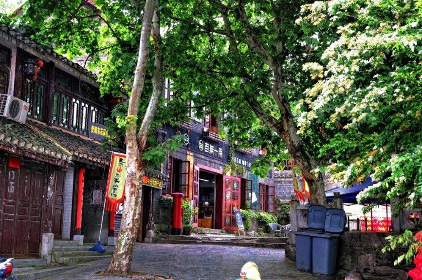 探索玄凤鹦鹉弃窝了鸟蛋怎么办用不用拿出来?,获取更多知识
